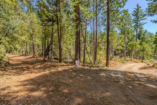 0 GOLD CREEK TRAIL, VOLCANO, CA 95689 - Image 80ffa23c78ebb03f0e9366d7dfce67f9/3096241975