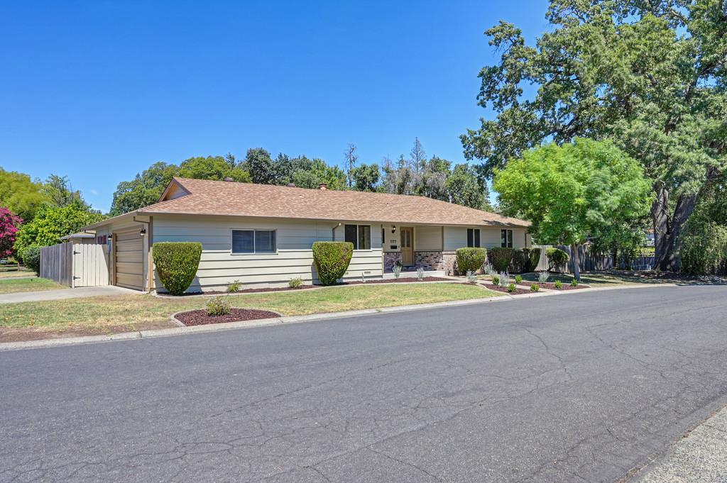 1177 Theo Way