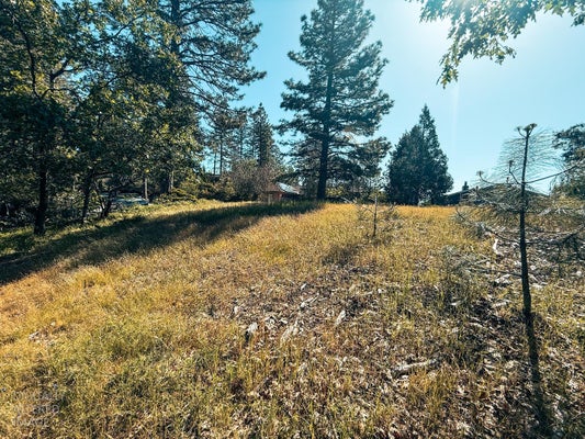 1140 SANDALWOOD DR, MURPHYS, CA 95247 - Image 816ca41c8b5284f4df4f7df2b745f3bc/2966063504
