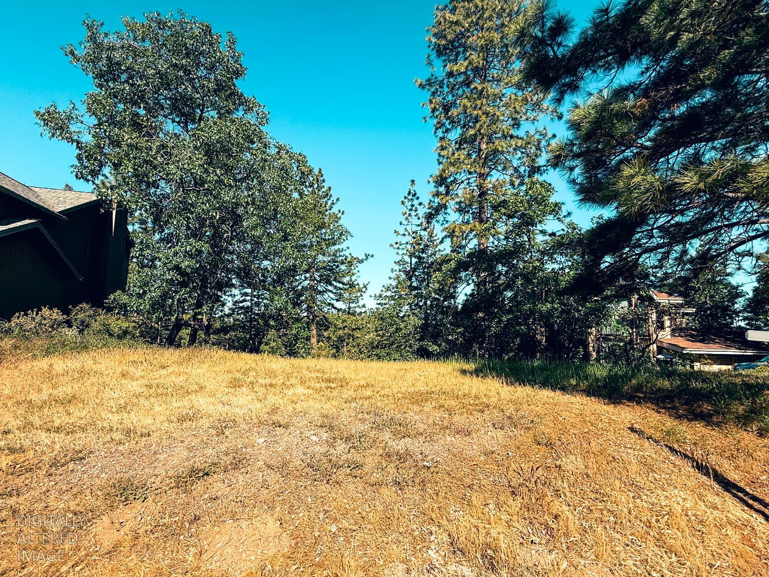 1140 Sandalwood Drive