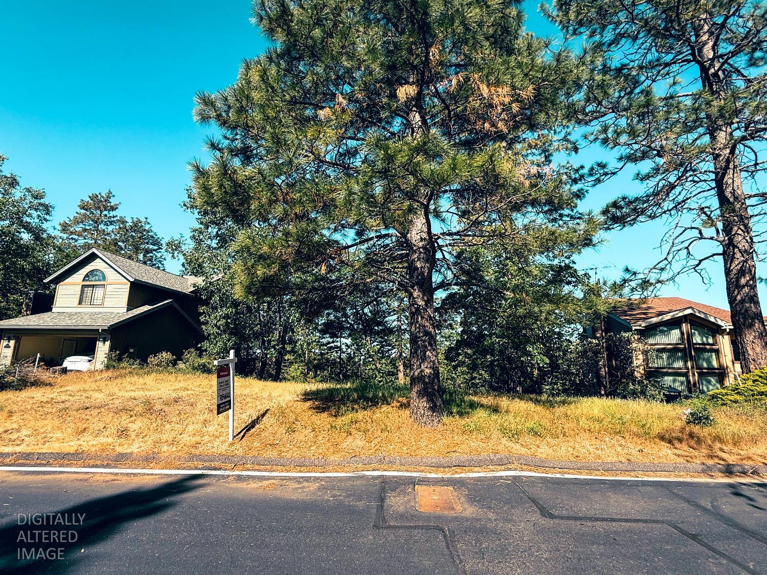 1140 Sandalwood Drive