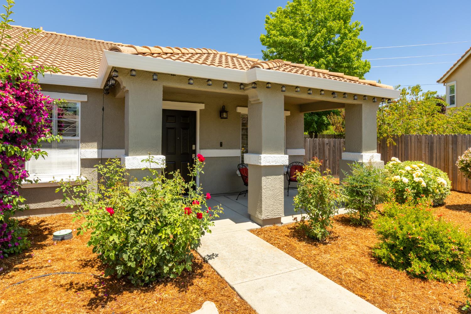 960 Dolan Court