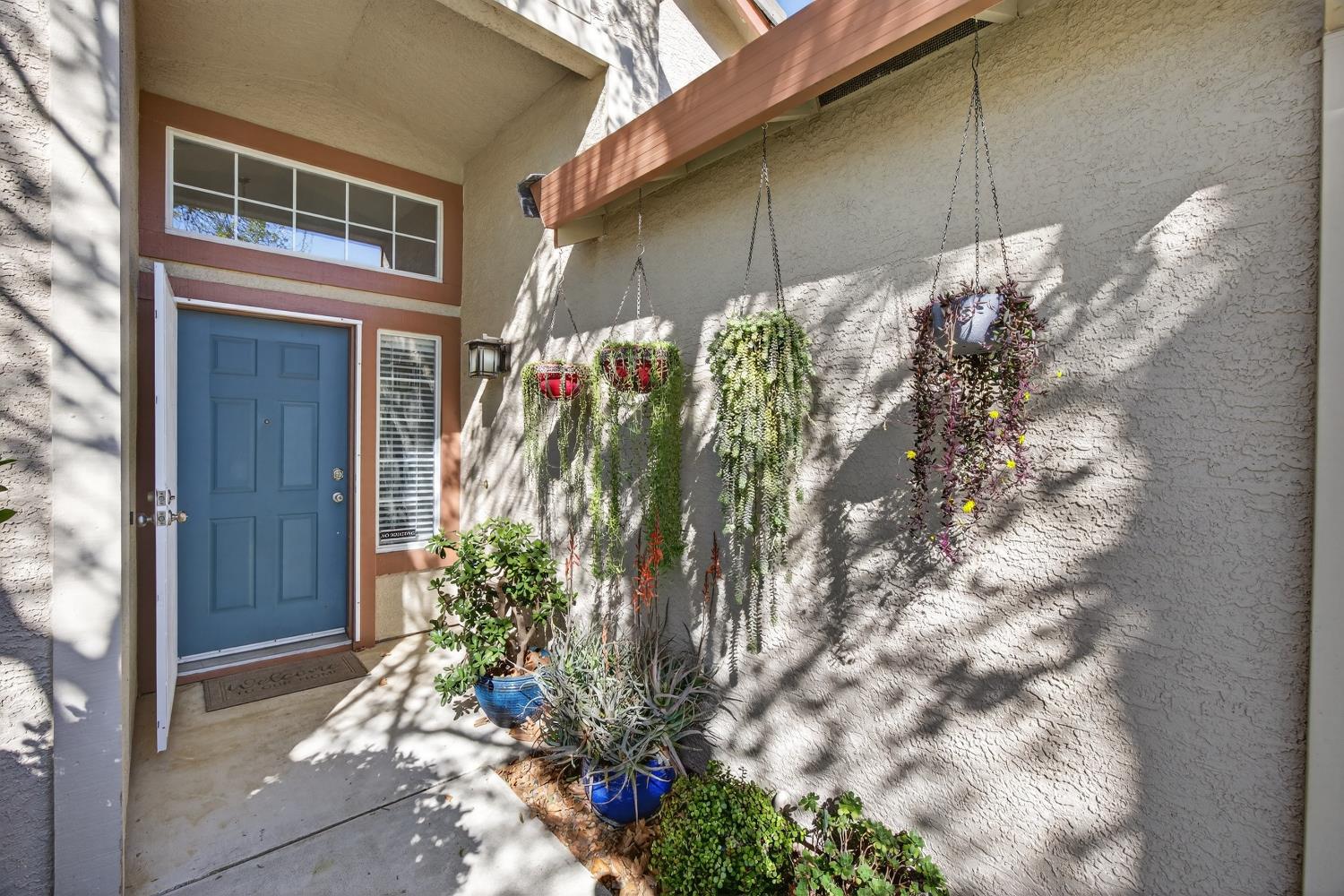 9074 Paseo Grande Way