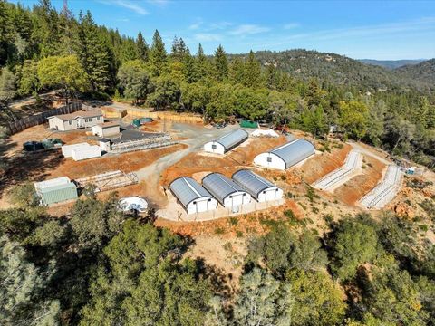 Grass Valley, CA 95949