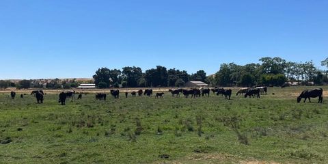 0 Morrison Road Oakdale CA 95361