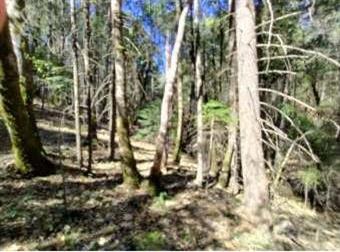 13928 Manion Canyon Road