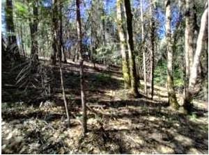 13928 Manion Canyon Road