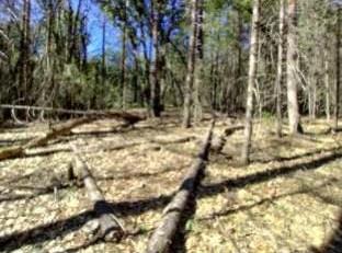 13928 Manion Canyon Road