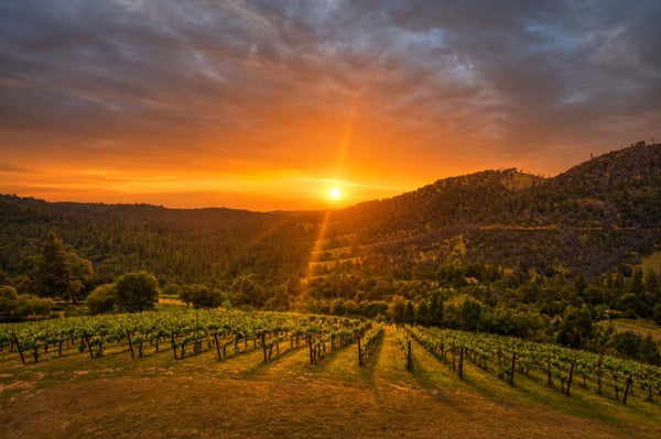 7201 HAPPY VALLEY RD, SOMERSET, CA 95684 - Image 82f4378aa4e5b567f7c34fdd42cefc83/3314119377