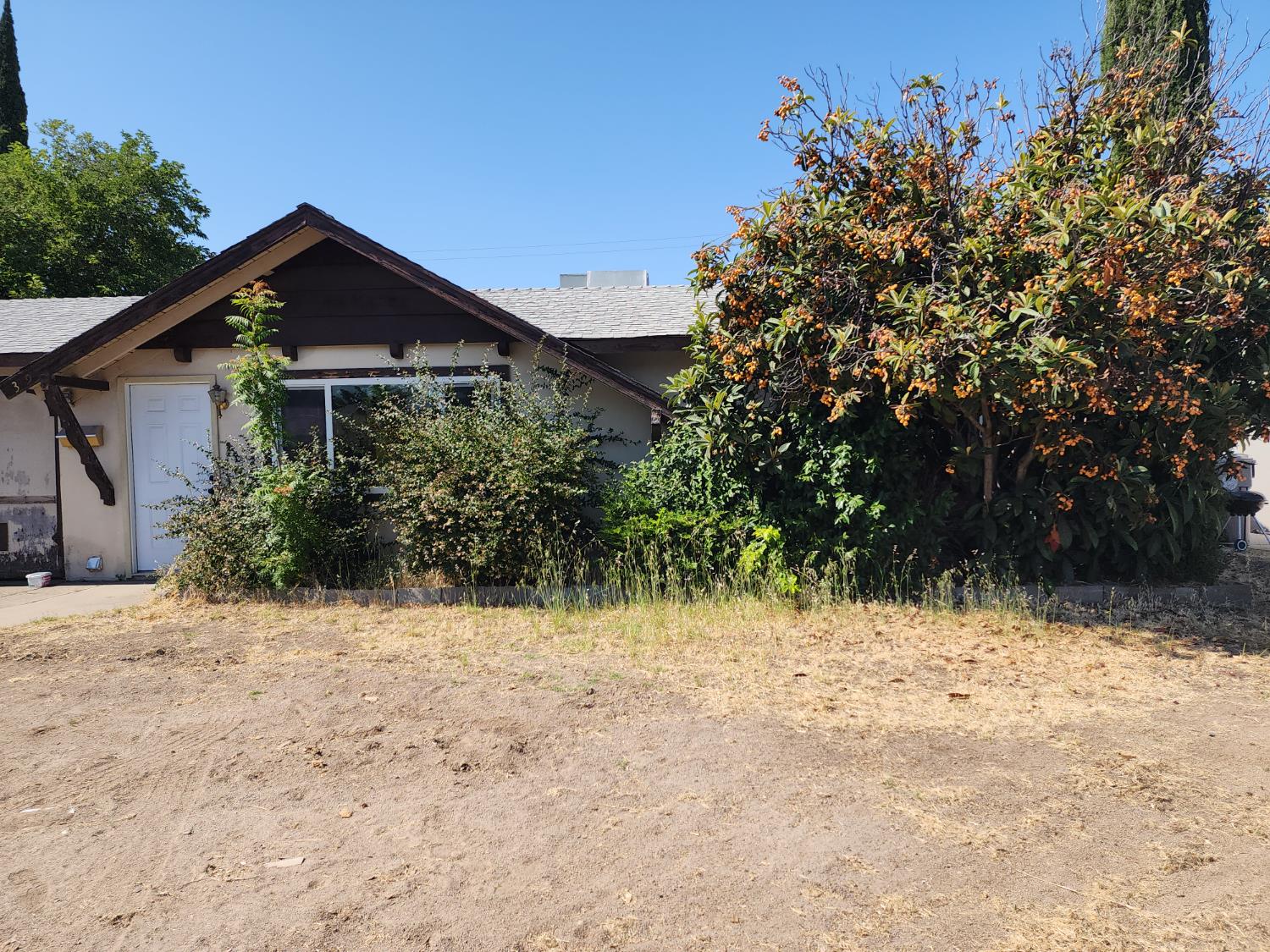 339 Berthoud Street