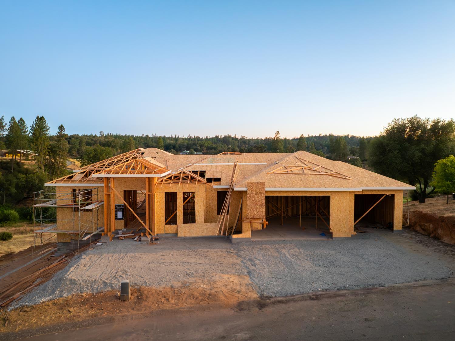 12960 Austin Forest