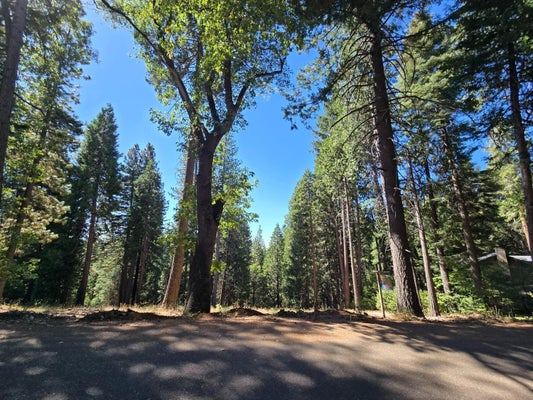 3224 YORK CT, POLLOCK PINES, CA 95726 - Image 836f8d9604b62fd42634f669c88bc310/813819548