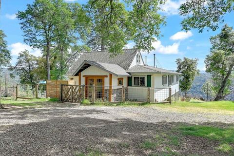 1581 Moccasin Trail Placerville CA 95667