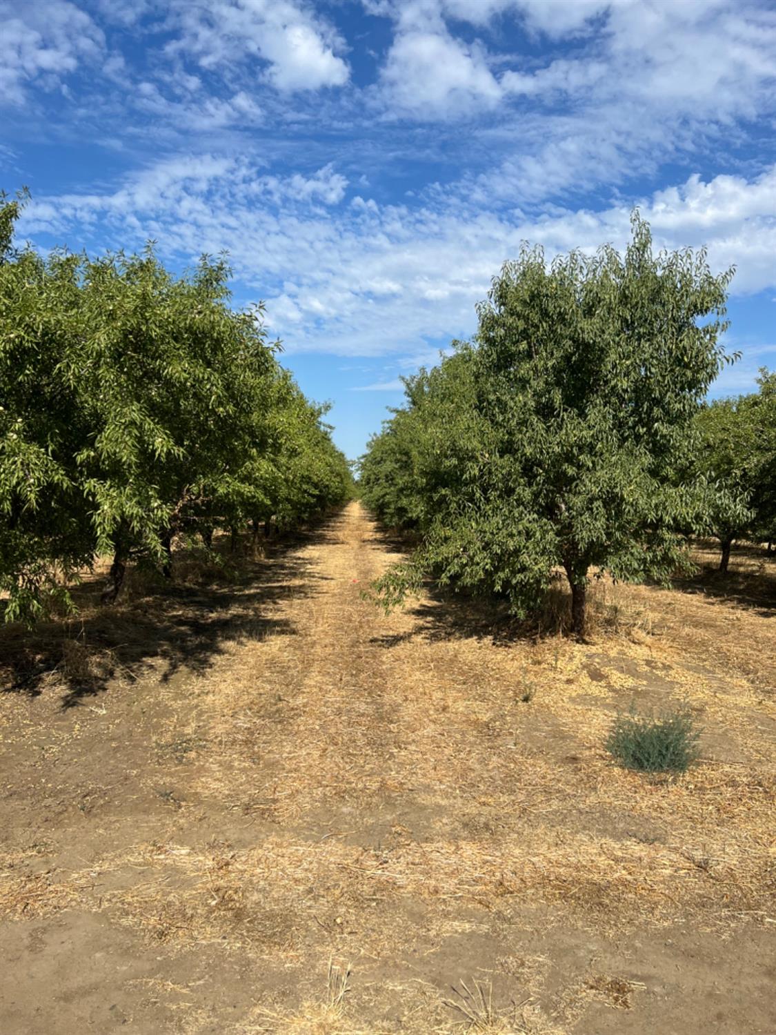 4261 Clausen Road
