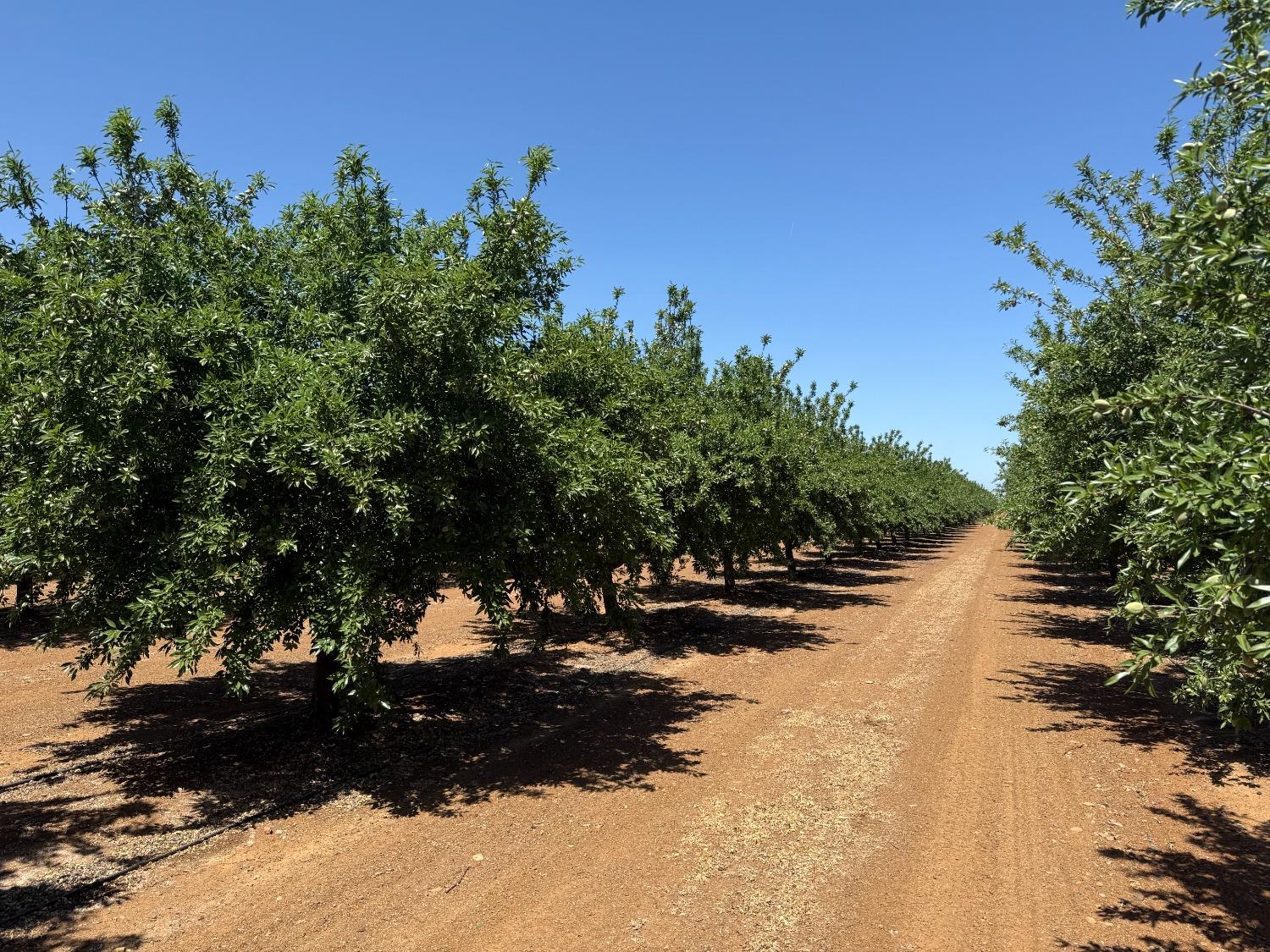 0 Little Panoche Road