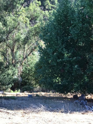 0 LAURISTON COURT, OAKLAND, CA 94611 - Image 83f6281b4eedddecc7cf2276ce85348b/1676258374