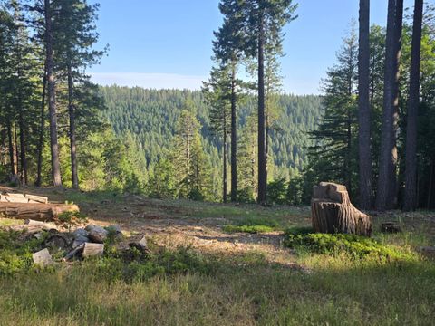 13907 Lightning Tree Road Nevada City CA 95959