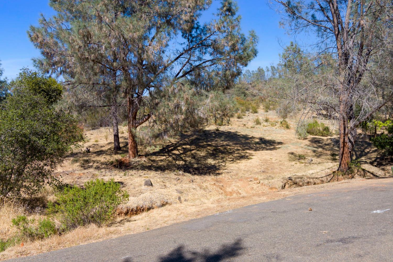 3453 Jose Court - Photo 3