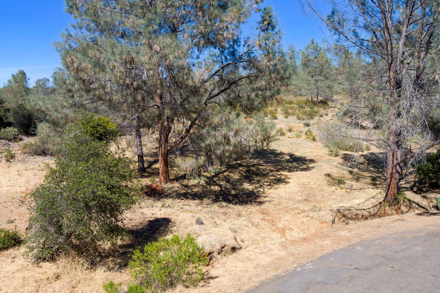 3453 Jose Court - Photo 4