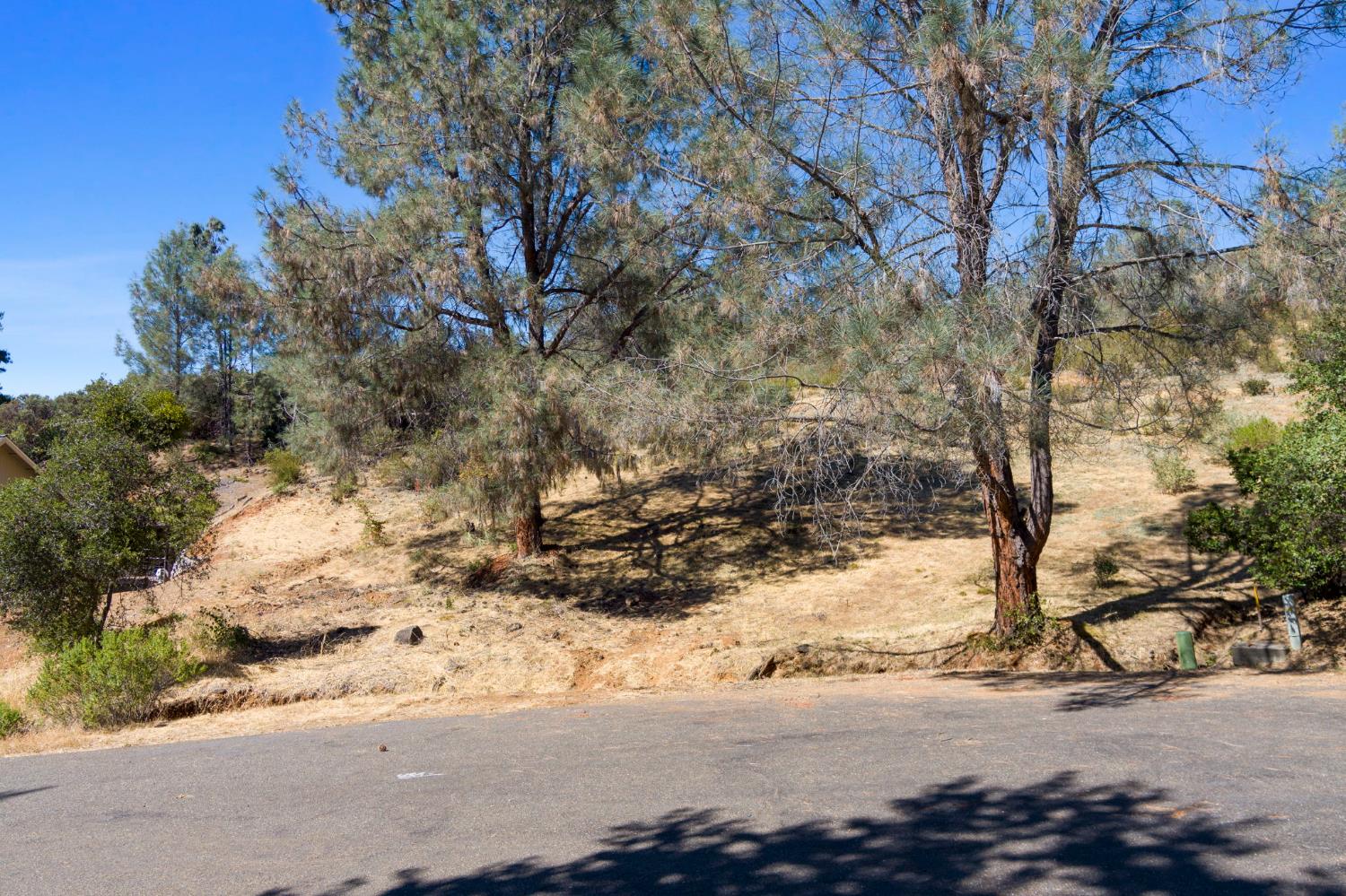 3453 Jose Court - Photo 2