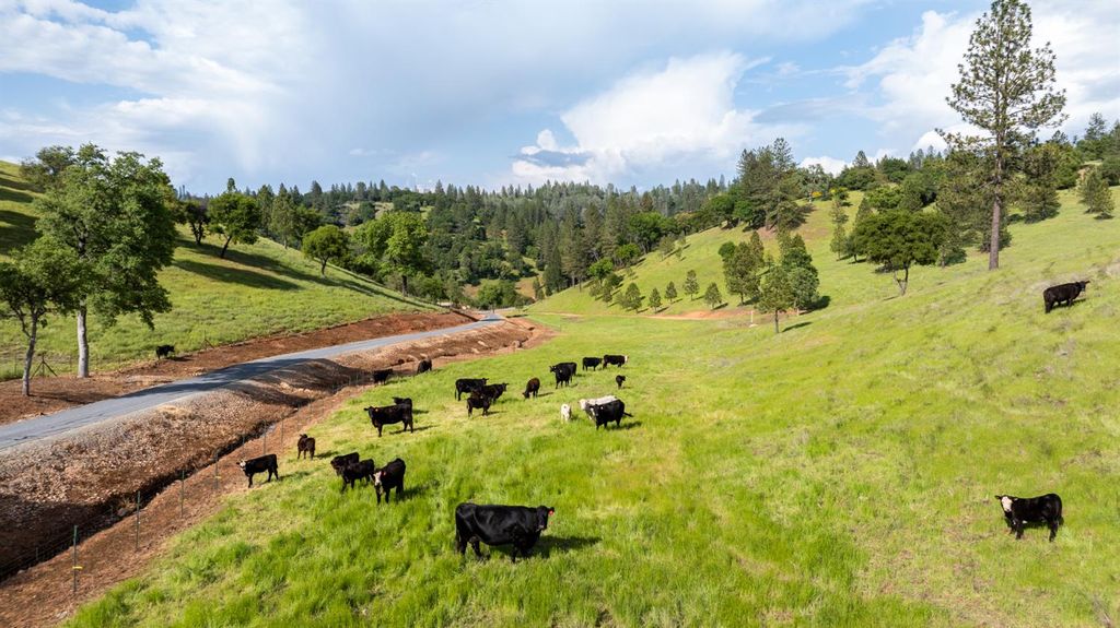 Photo of 5160 Scarlet Oak Dr, Greenwood, CA 95635 (MLS # 225062769)