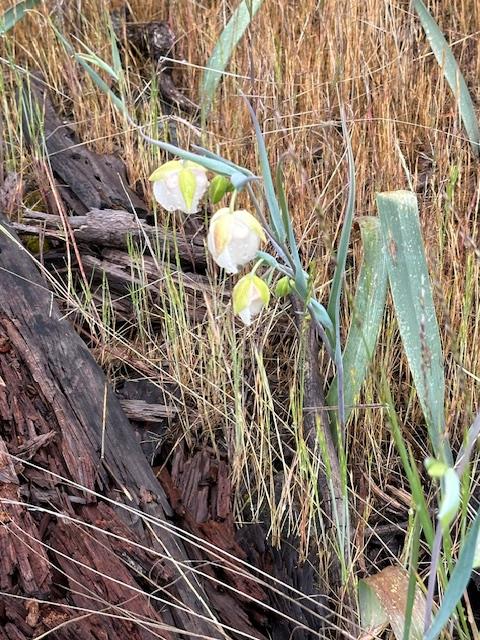 5963 Quarry Turn Road