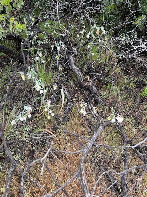 5963 Quarry Turn Road