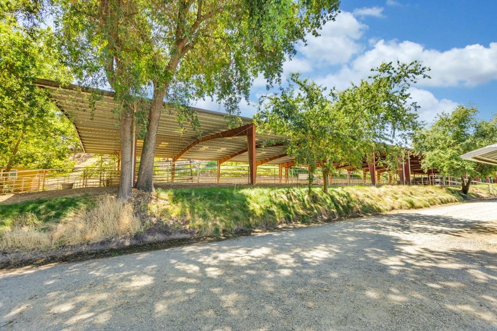 23303 E Buena Vista Road