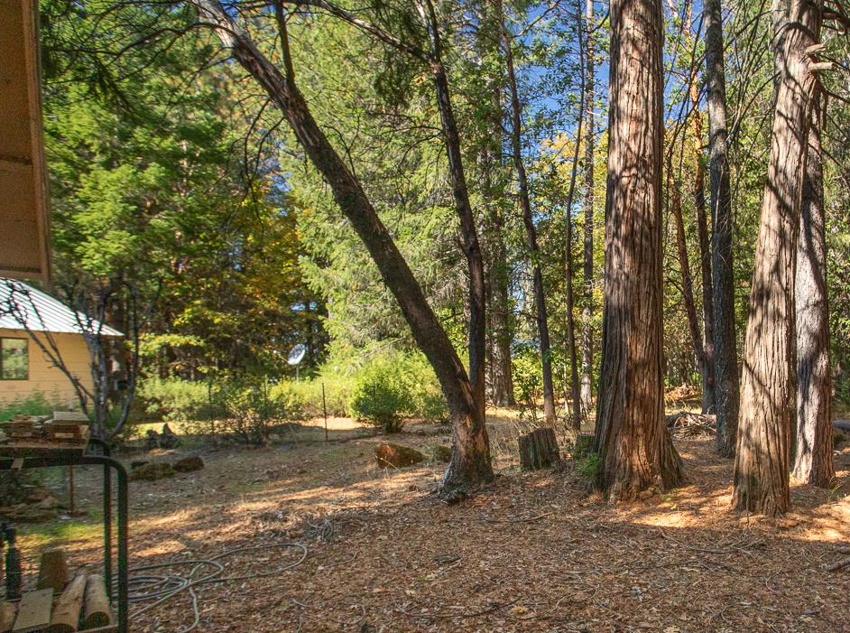 Brownsville, California 95919, United States, 2 Bedrooms Bedrooms, ,2 BathroomsBathrooms,Residential,Active,234161