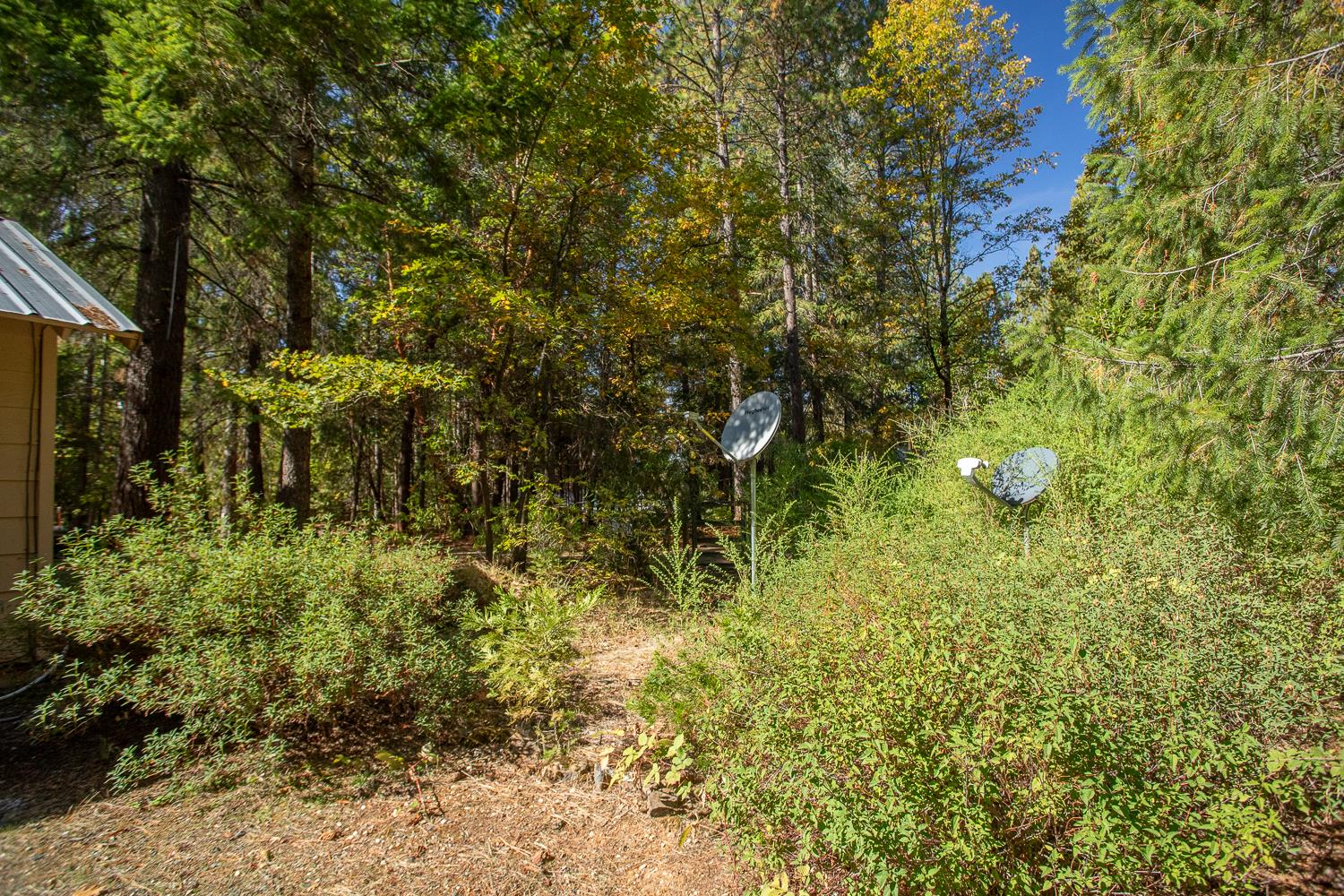 Brownsville, California 95919, United States, 2 Bedrooms Bedrooms, ,2 BathroomsBathrooms,Residential,Active,234161