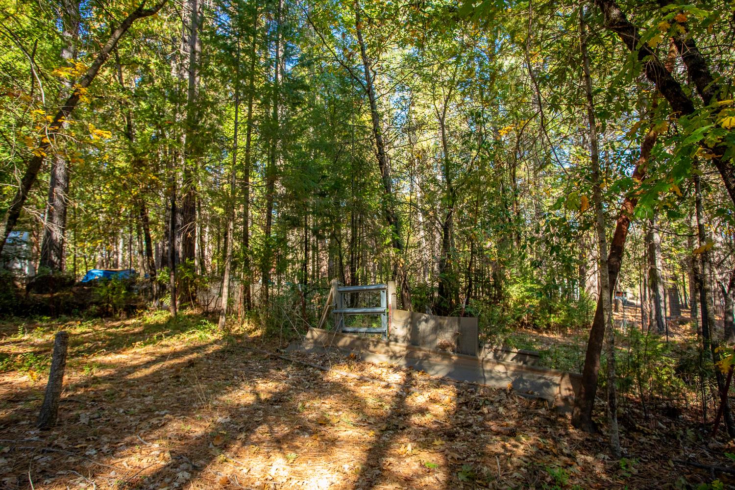 Brownsville, California 95919, United States, 2 Bedrooms Bedrooms, ,2 BathroomsBathrooms,Residential,Active,234161