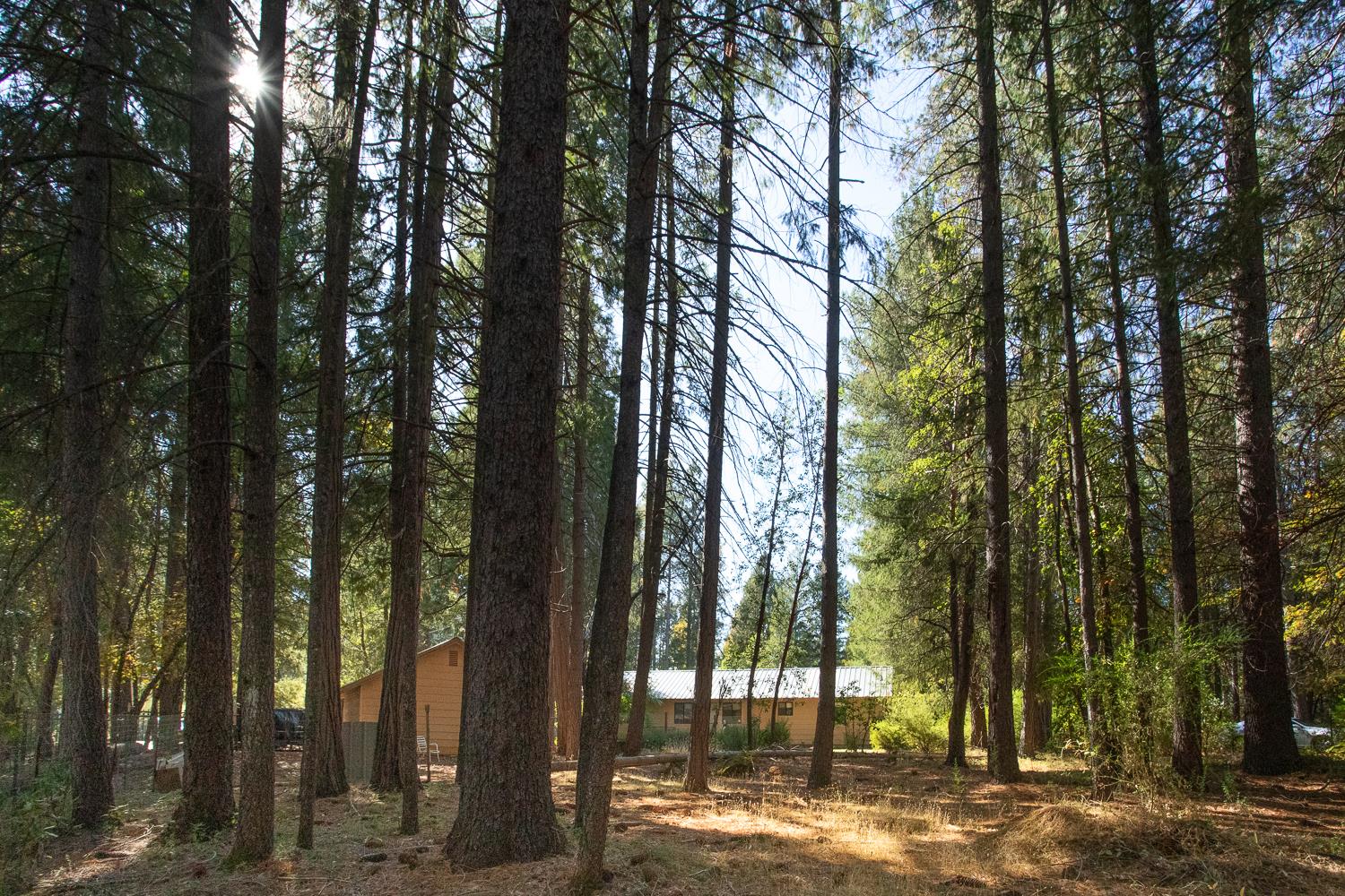 Brownsville, California 95919, United States, 2 Bedrooms Bedrooms, ,2 BathroomsBathrooms,Residential,Active,234161