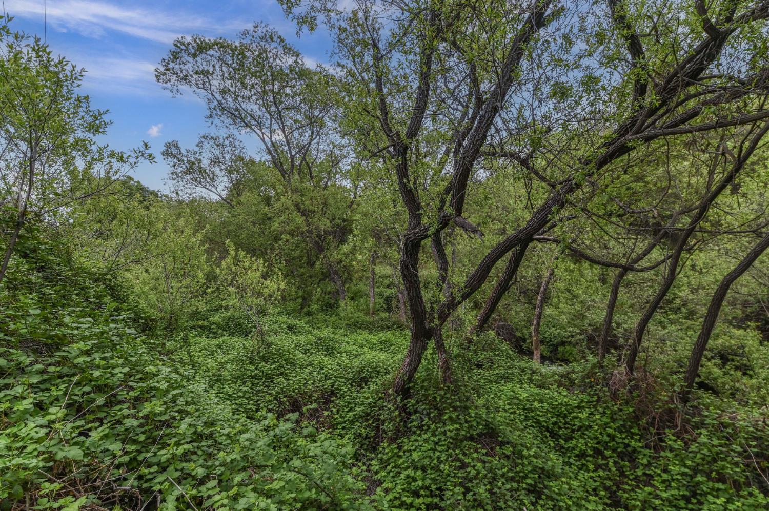 34 Foothill Village Drive