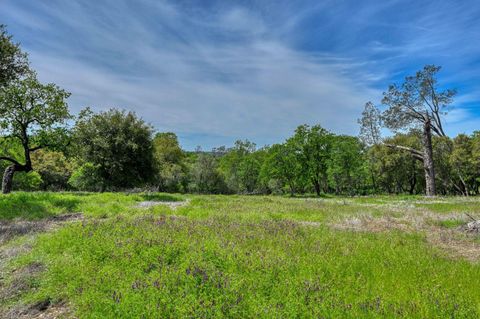 1991 E Green Springs Road Rescue CA 95672