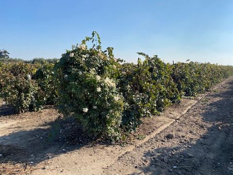 0 Shoemake Avenue Modesto CA 95358