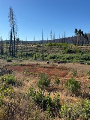 4491 STRING CANYON CT, GRIZZLY FLATS, CA 95636 - Image 8918ebda516fa55b361cee1cc112cd62/3023782838