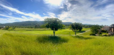 1904 Oak Creek Drive Copperopolis CA 95228