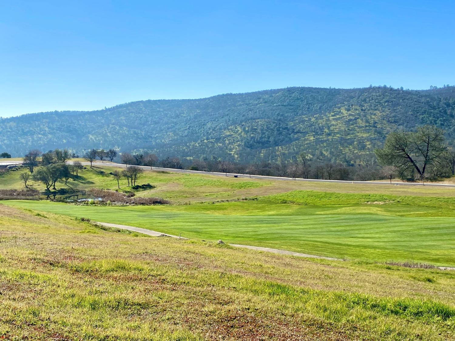 1904 Oak Creek Drive