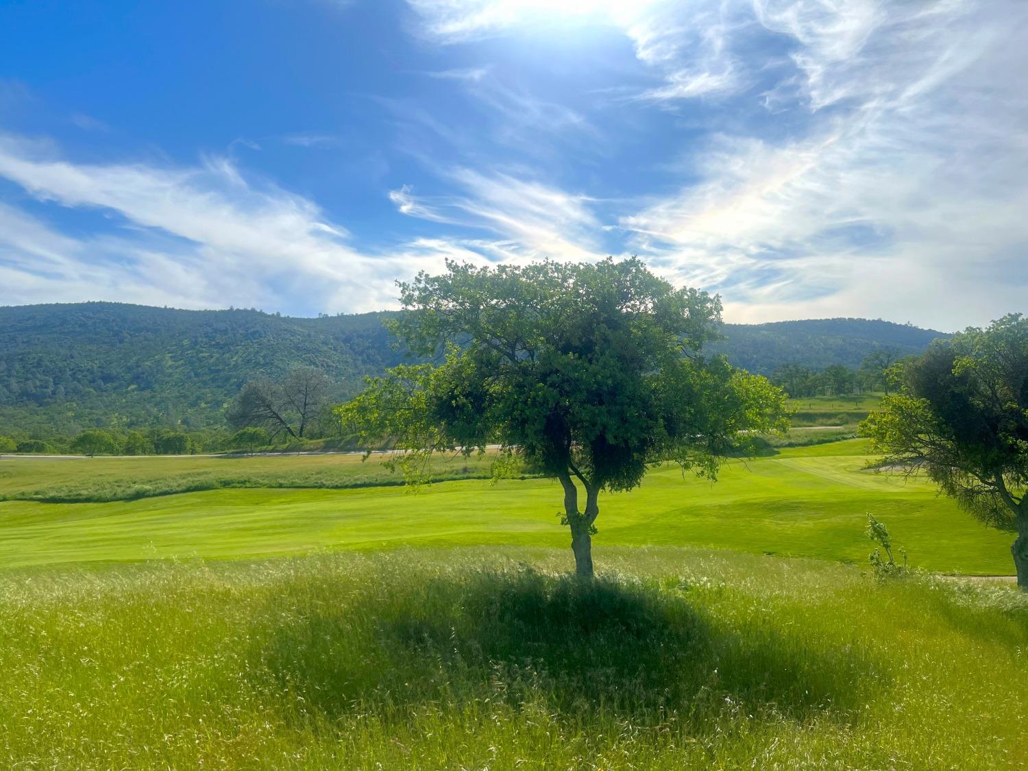 1904 Oak Creek Drive