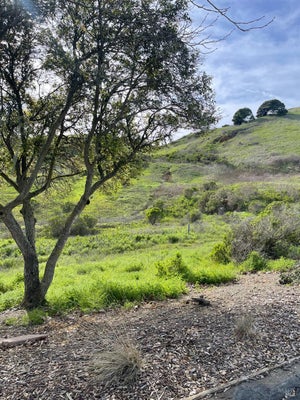 0 HIDDENBROOKE PARKWAY, VALLEJO, CA 94591 - Image 897e8f40eef596a1fd85ef74679d399f/866873855