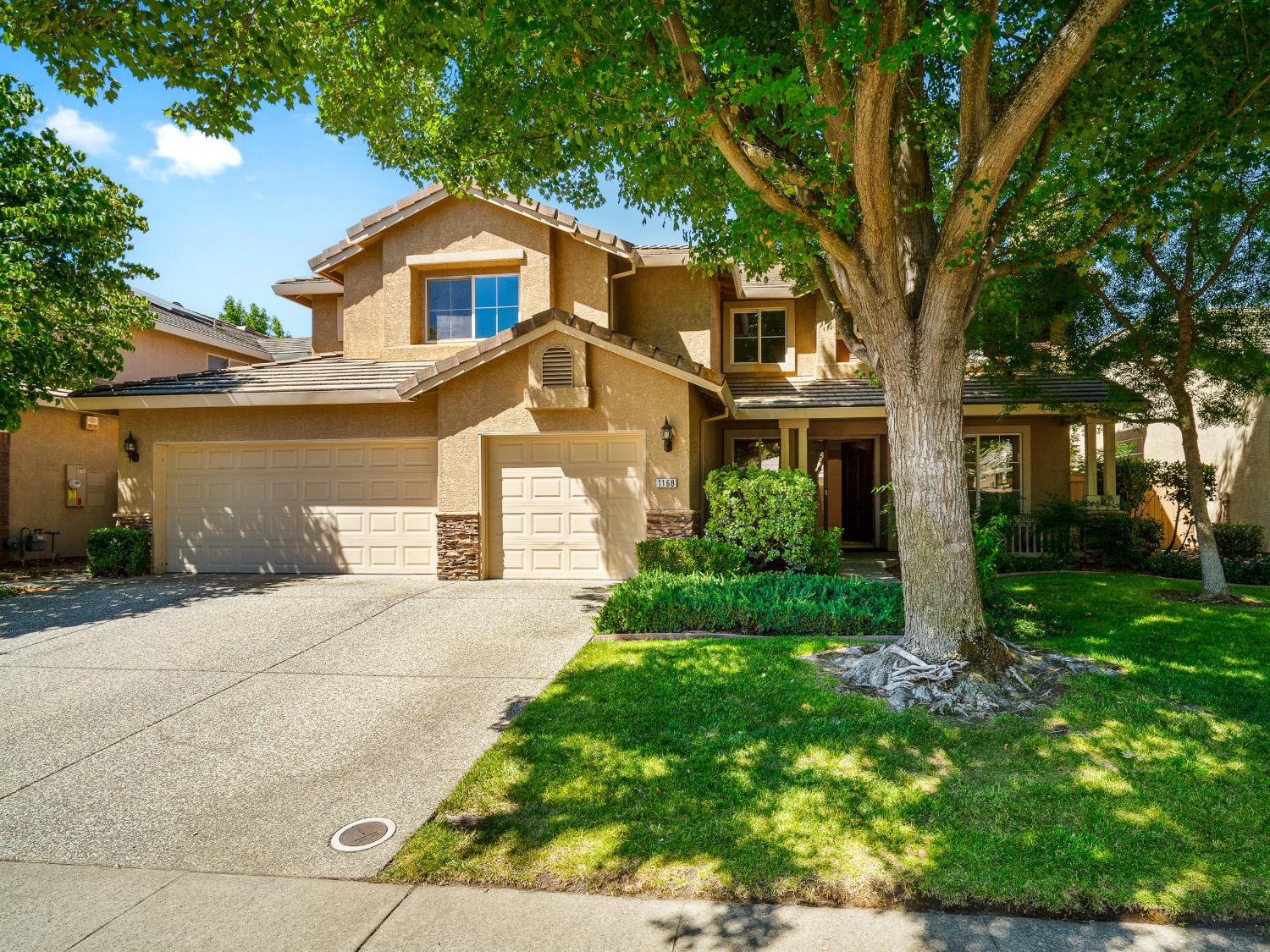 1168 Elderberry