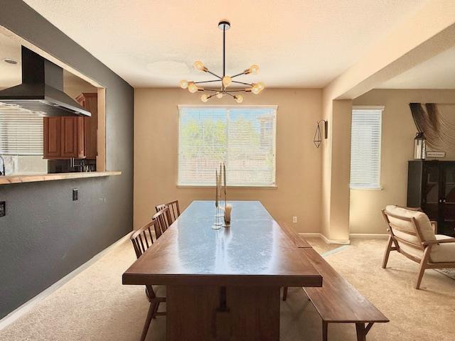 1095 Taggart Court