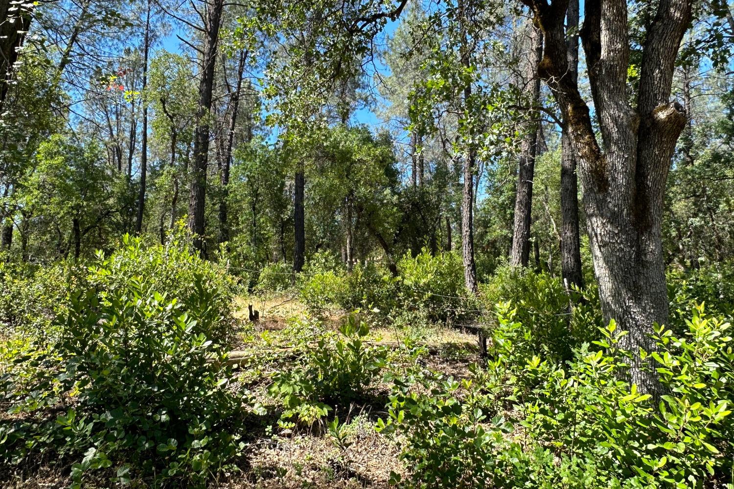 9200 Silver King Road