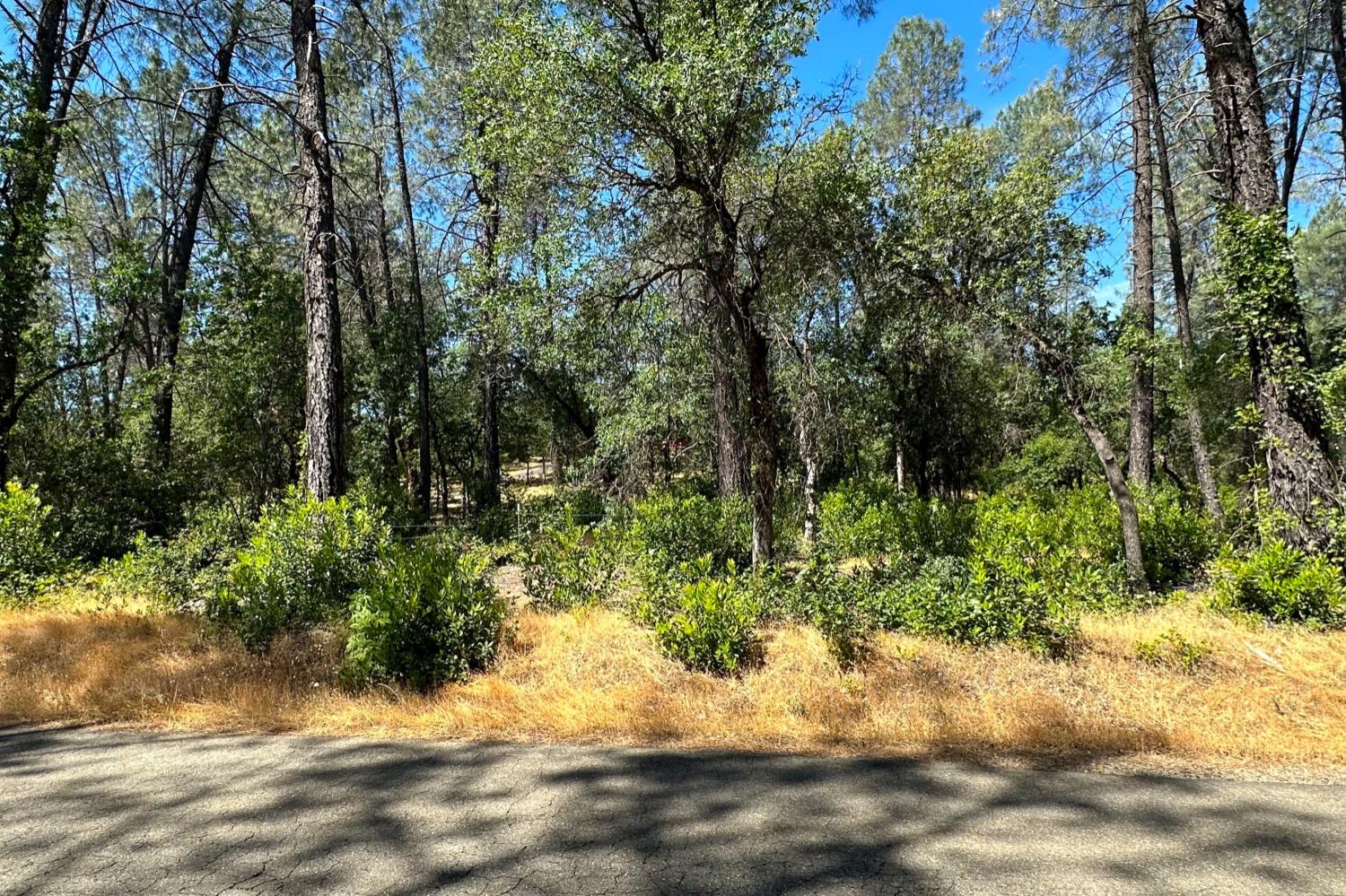 9200 Silver King Road