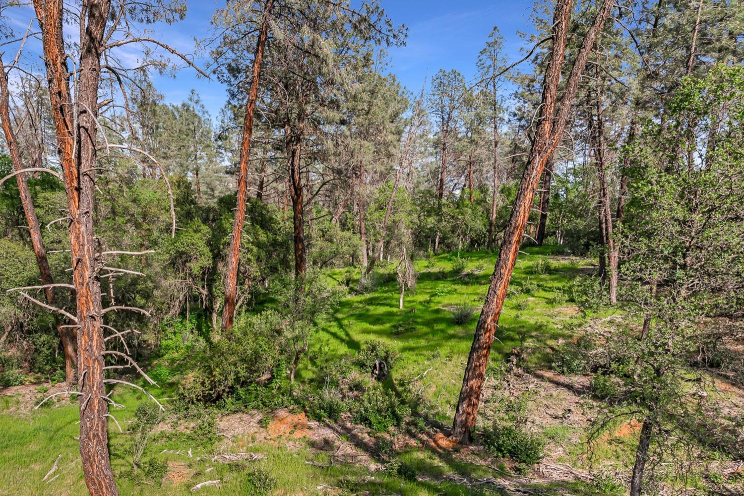 9200 Silver King Road