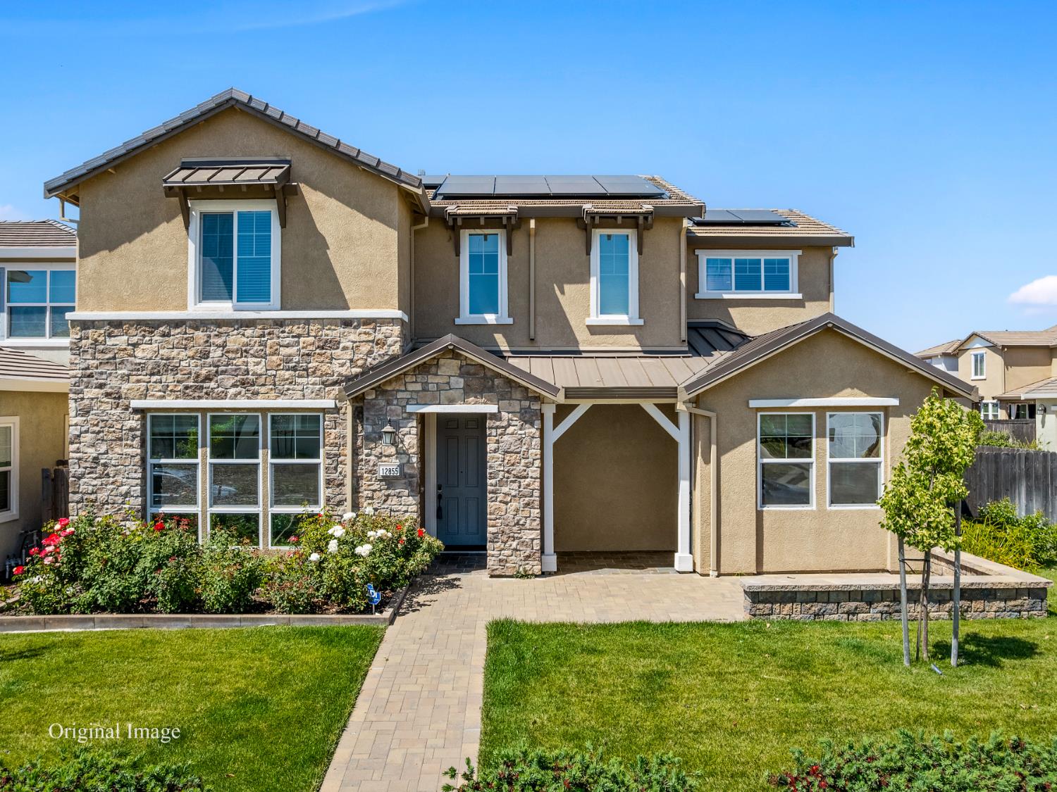 12855 Daylily Coast Lane