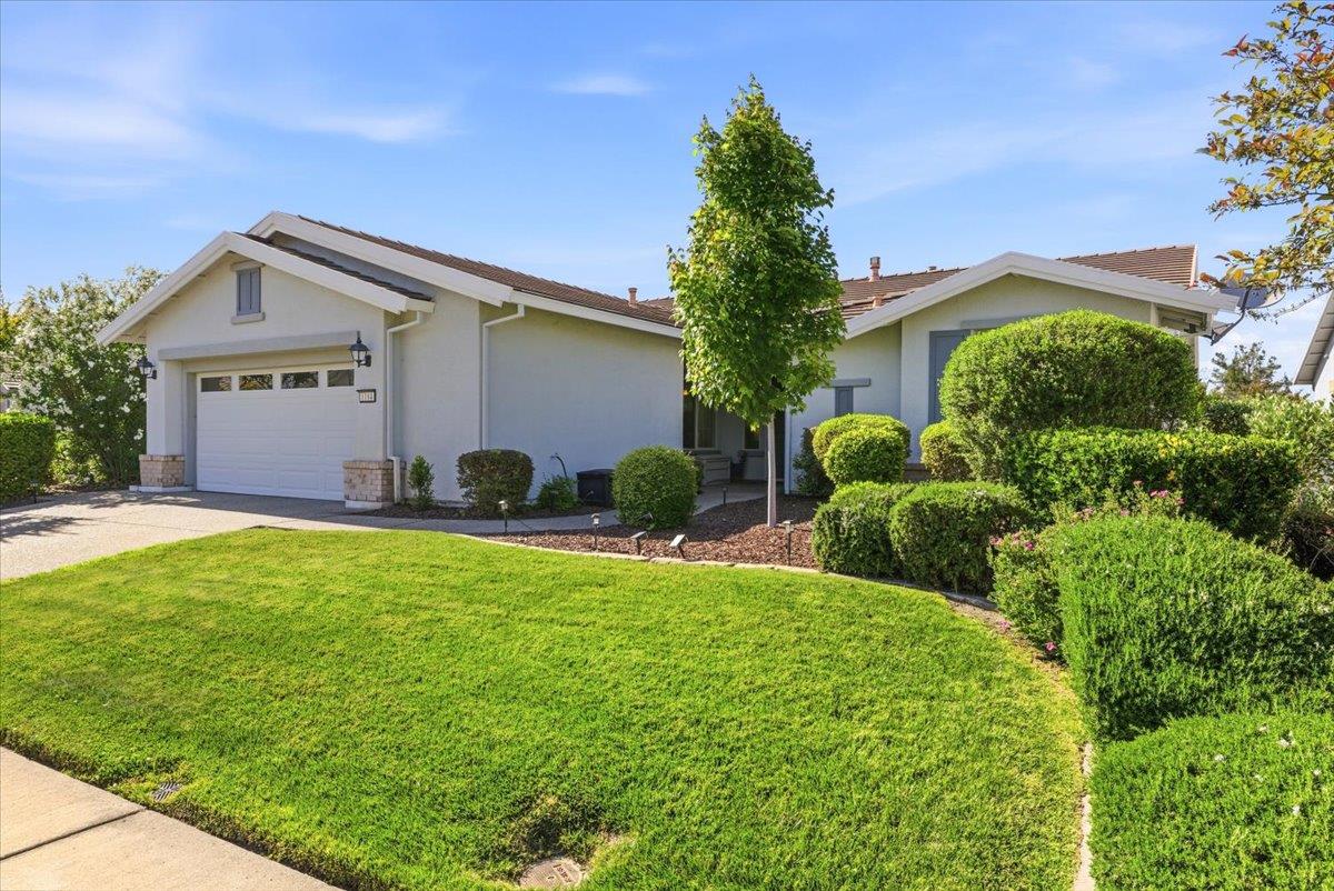 1184 Segolily Lane