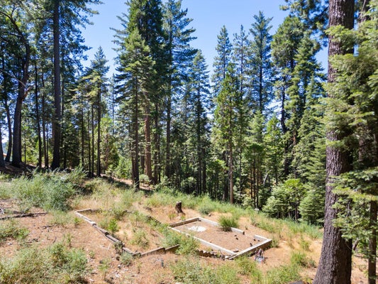 1704 BORO CT, ARNOLD, CA 95223 - Image 8b82b34eb09c3f95ba33c2e5efbcbd4e/3654358553