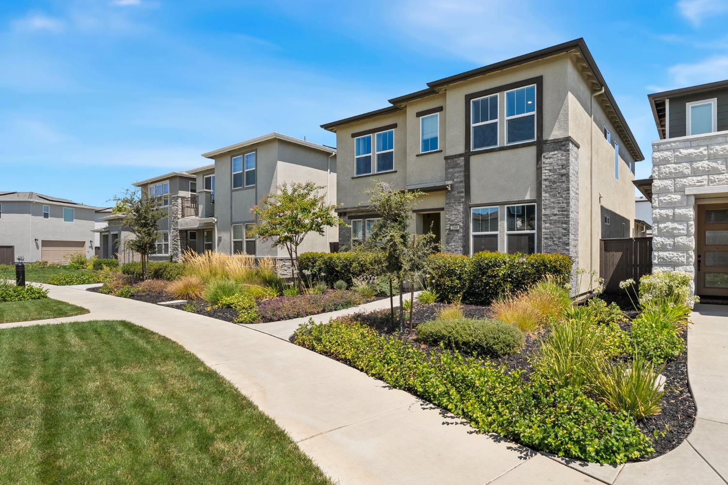 2948 Blue Teal Walk