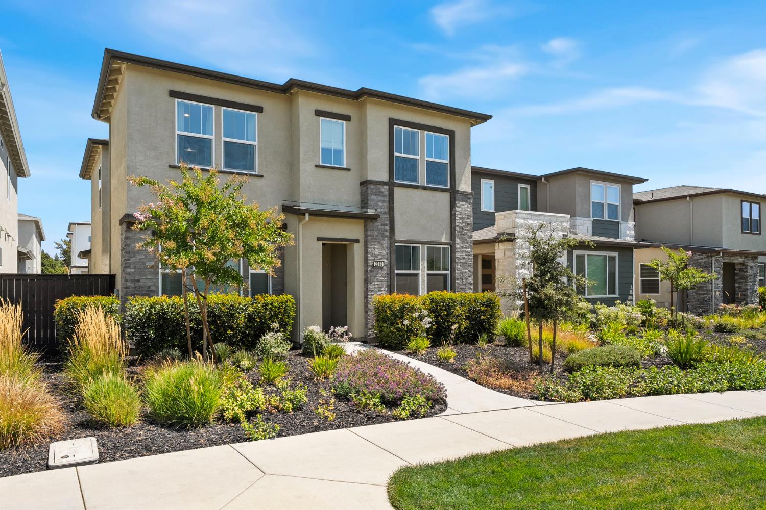 2948 Blue Teal Walk